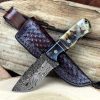 II-14 Damascus Hunting Skinning Knife with Ram Horn Handle