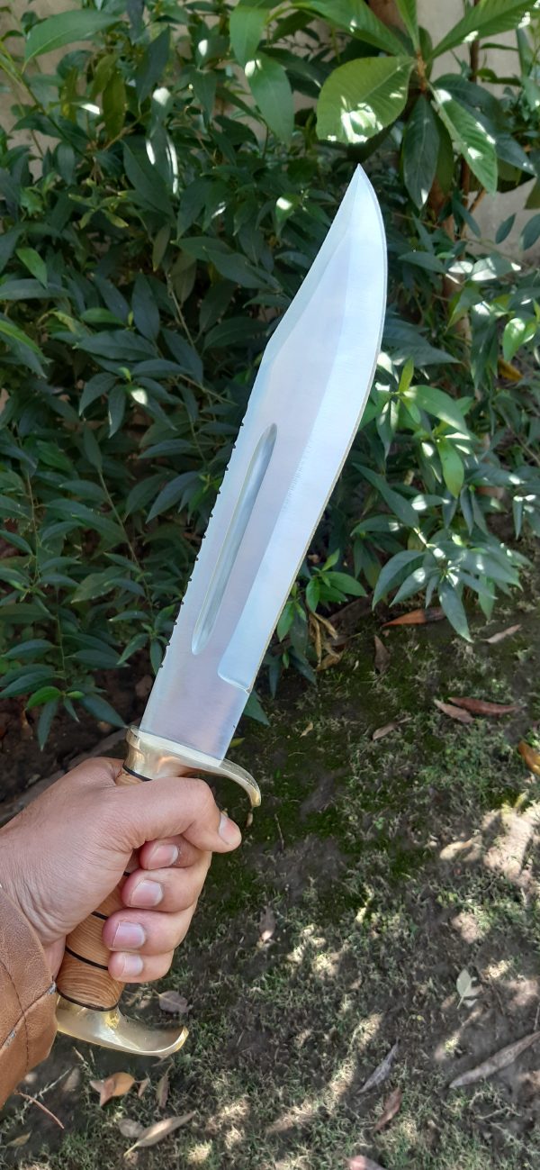 High Carbon Blade Bowie with Olive Wood Handle and Brass Gaurds