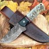 II-14 Damascus Hunting Skinning Knife with Ram Horn Handle