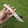 II-9 Hunting Skinning Knife Solid and Beautiful Colored Bone Handle