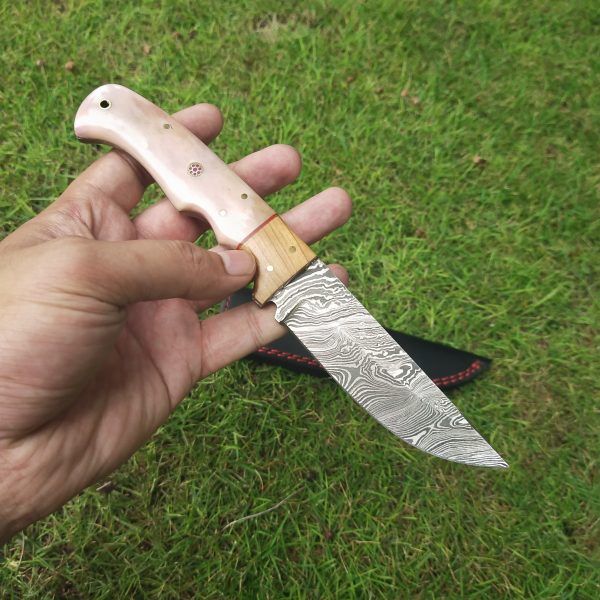 II-9 Hunting Skinning Knife Solid and Beautiful Colored Bone Handle