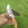 II-5 Hunting Skinning Pack Knife Solid and Beautiful Olive Wood Handle