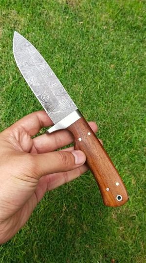 II-11 Hunting Skinning Pack Damascus Knife Rose Wood Handle