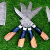 Beautiful Olive Wood and Blue Resin Handle Chef Set