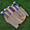 C2- Blue Wood Handle Chef Set