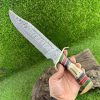 Beautiful Antler Handle Damascus Knife TR65