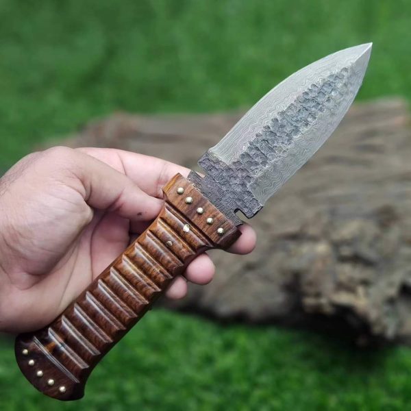II-15 Damascus Hunting Knife with Rose Wood Handle