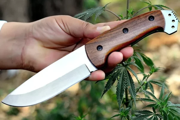 Hunting Knife 5''Blade/10''Full-Tang Fixed Blade Rosewood Handle Knife