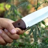 Hunting Knife 5''Blade/10''Full-Tang Fixed Blade Rosewood Handle Knife
